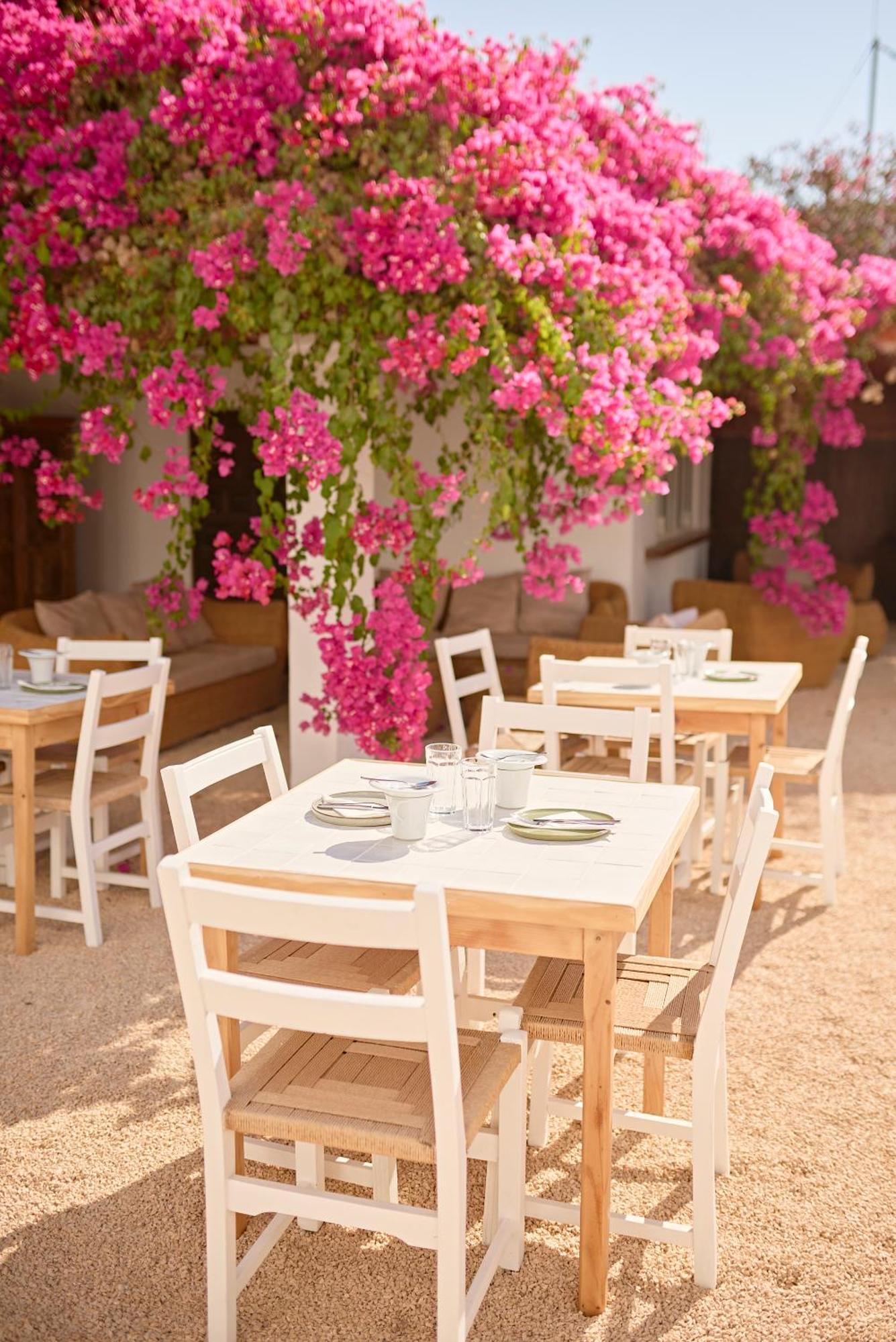 Ibara Ibiza Hotel Boutique Es Cana Екстериор снимка
